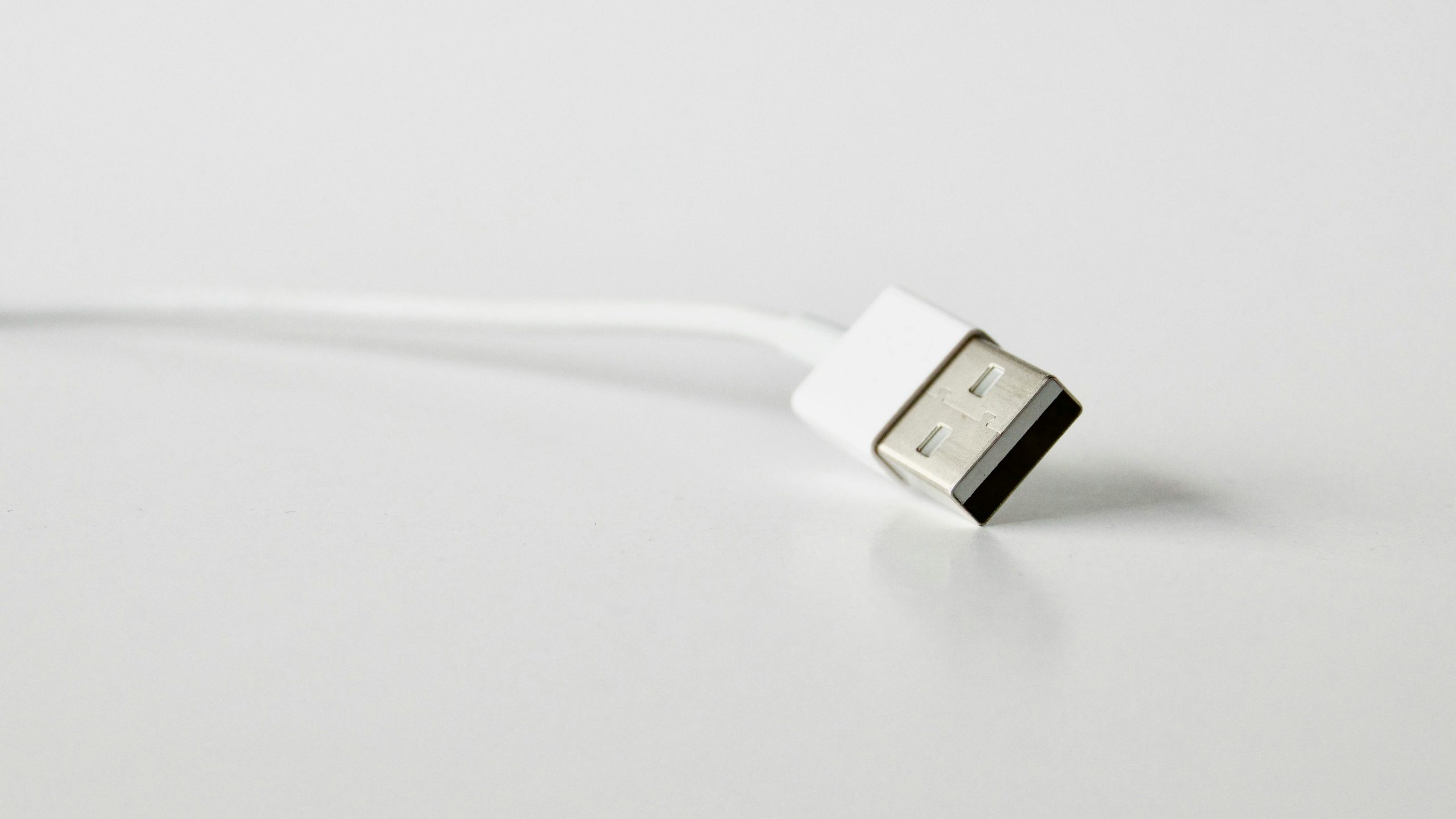 close-up of a white USB cable